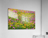 bright day johnny boyd Acrylic Print