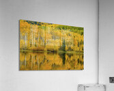 golden reflection johnny boyd Acrylic Print