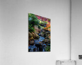 maple falls iv johnny boyd Acrylic Print