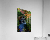 maple falls johnny boyd Acrylic Print