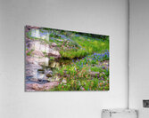 spring delight johnny boyd Acrylic Print