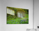 spring day blues johnny boyd Acrylic Print