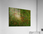 spear grass johnny boyd Acrylic Print
