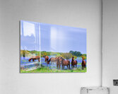 studs johnny boyd Acrylic Print