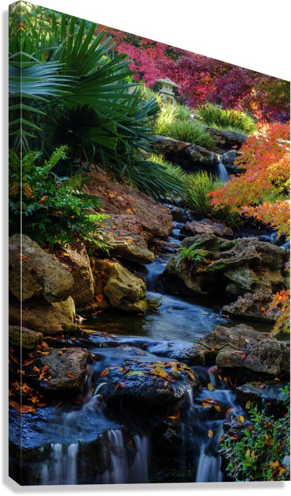 maple falls iv johnny boyd Canvas Print