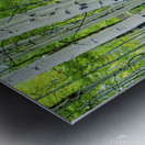 aspen road johnny boyd Metal print
