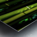 bamboo johnny boyd Metal print