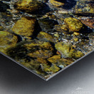 fall brook trout johnny boyd Metal print