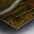 dancing aspens johnny boyd Metal print