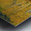 golden reflection johnny boyd Metal print