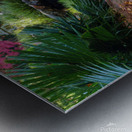 maple falls v johnny boyd Metal print