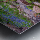 spring delight johnny boyd Metal print