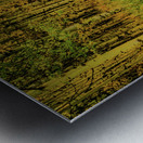road to oz johnny boyd Metal print