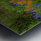prairie spring johnny boyd Metal print