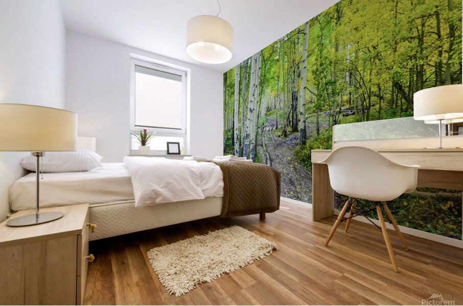 aspen road johnny boyd Mural print