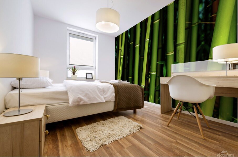 bamboo johnny boyd Mural print