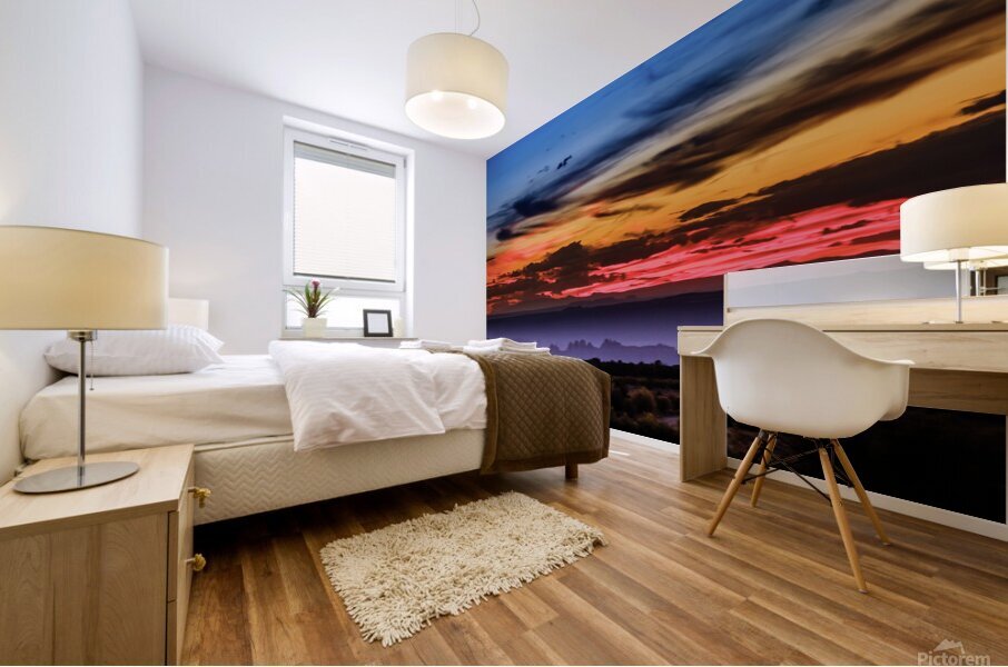a la sal sunset johnny boyd Mural print