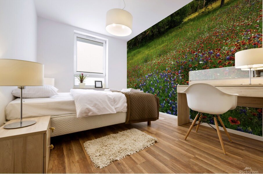 bluebonnet glory johnny boyd Mural print