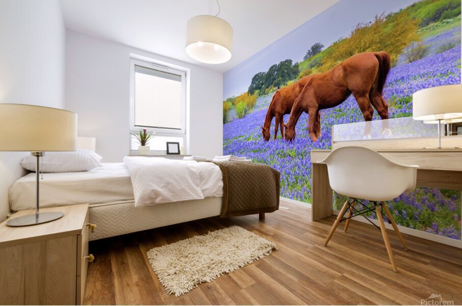double vision johnny boyd Mural print