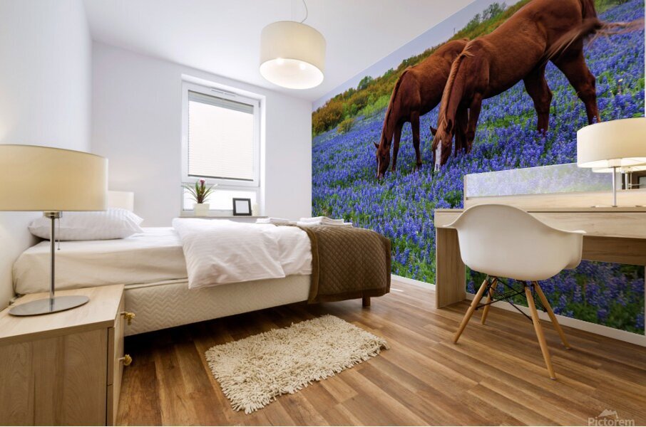 double vision 2 johnny boyd Mural print