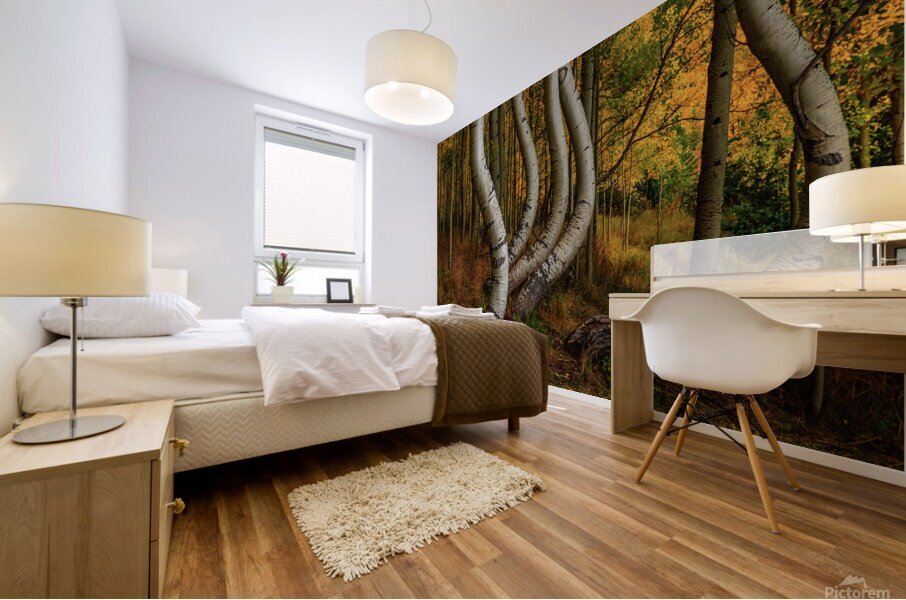 dancing aspens johnny boyd Mural print