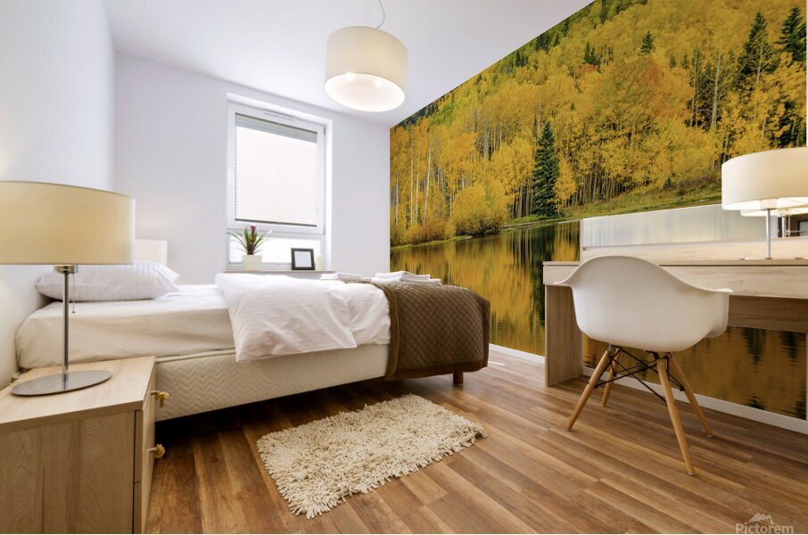 golden reflection johnny boyd Mural print