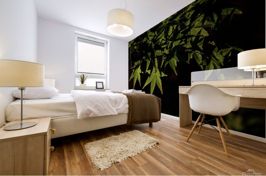 green maple johnny boyd Mural print