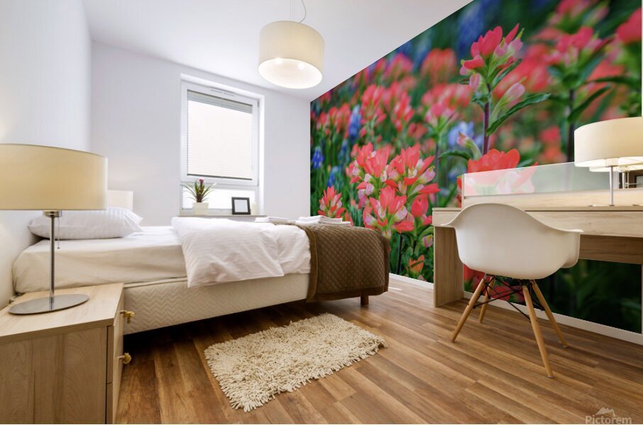 spring paintbrush johnny boyd Mural print