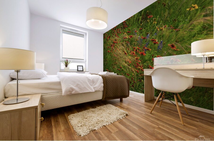 spear grass johnny boyd Mural print