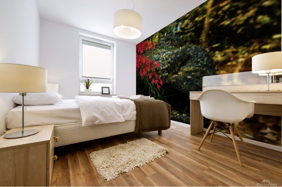 red maple limb johnny boyd Mural print