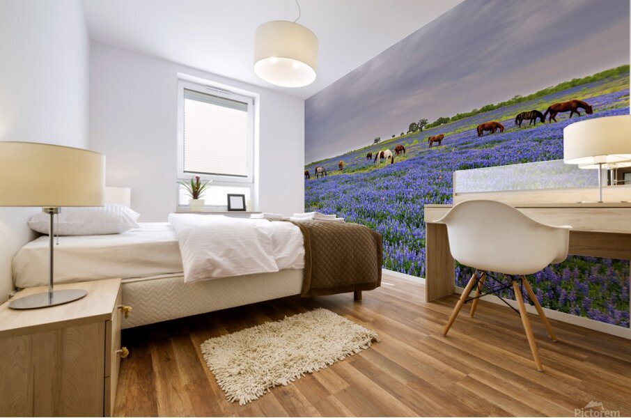 spring grazing johnny boyd Mural print