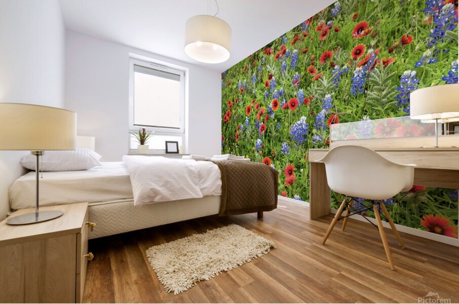 spring classic johnny boyd Mural print