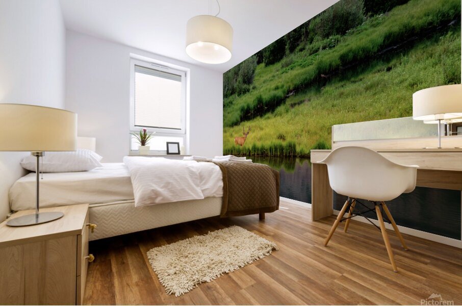 reflection buck johnny boyd Mural print