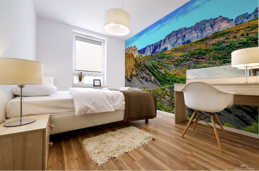 the wall johnny boyd Mural print