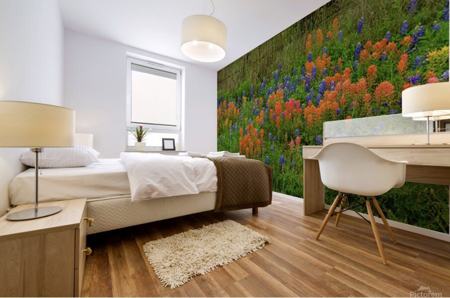 prairie spring johnny boyd Mural print