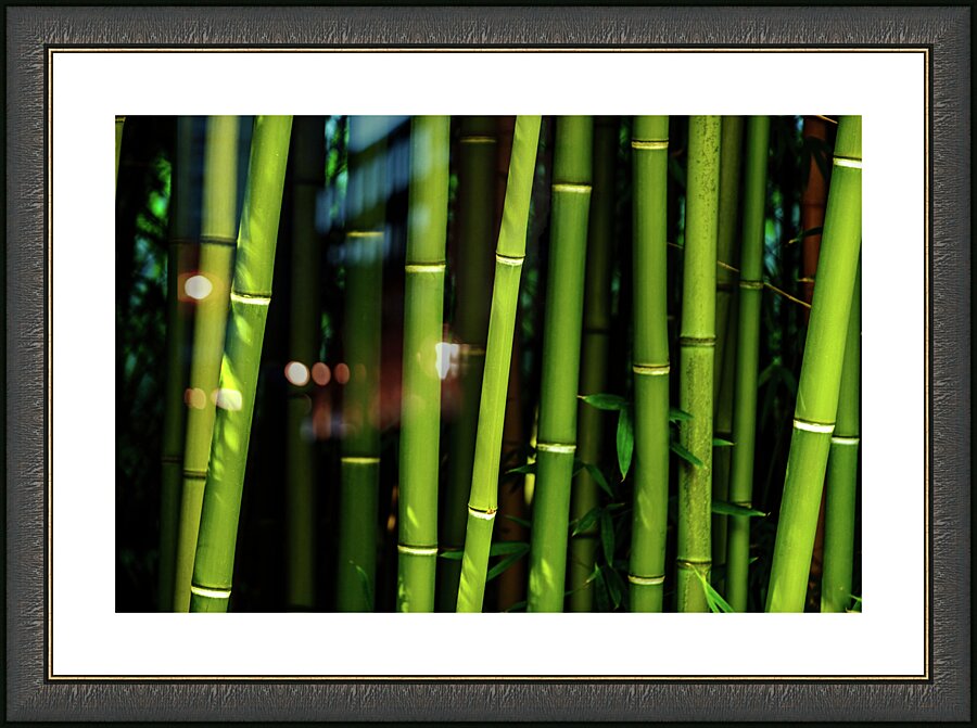 bamboo johnny boyd Picture Frame print