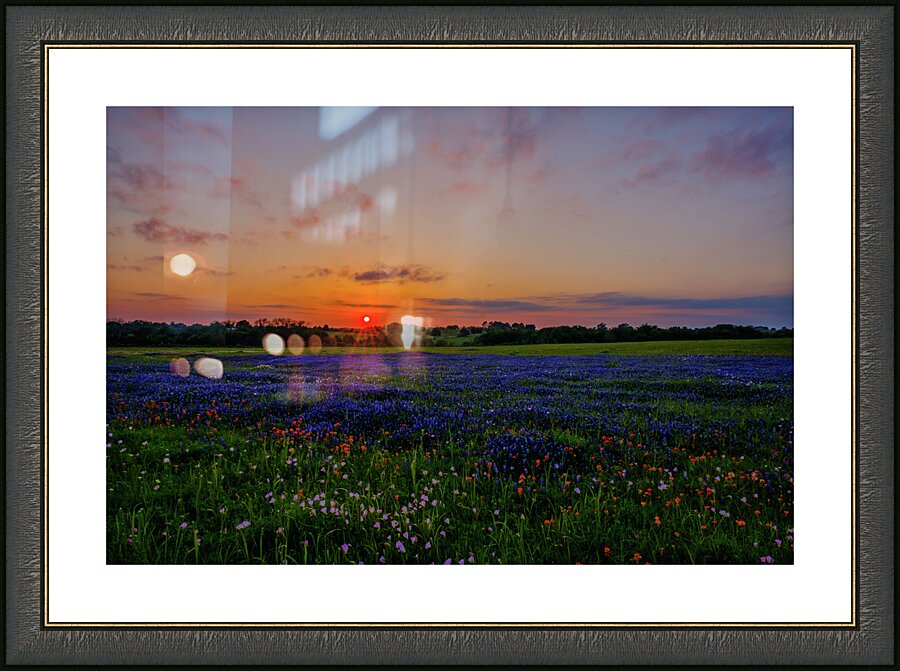 almost gone johnny boyd Picture Frame print