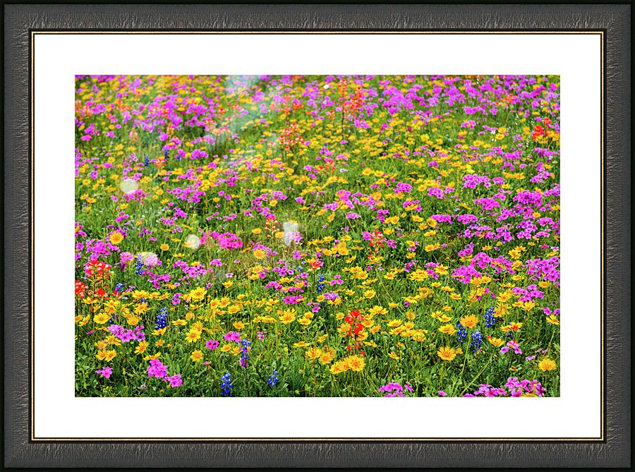 bright day johnny boyd Picture Frame print