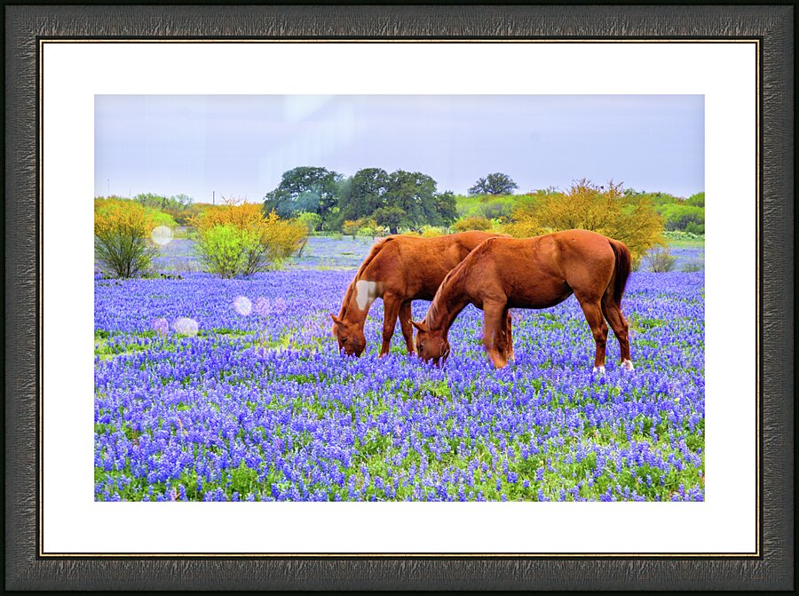 double vision johnny boyd Picture Frame print