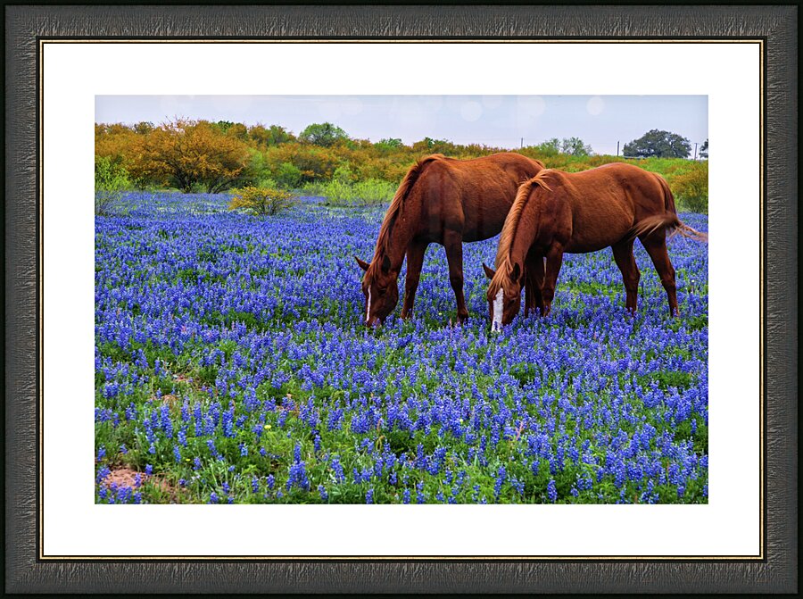 double vision 2 johnny boyd Picture Frame print