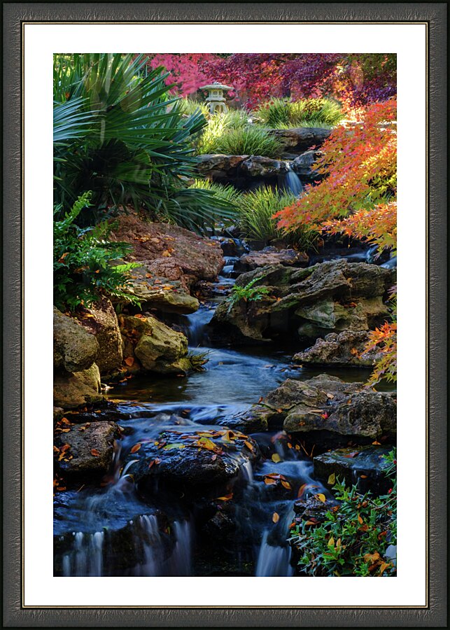 maple falls v johnny boyd Picture Frame print