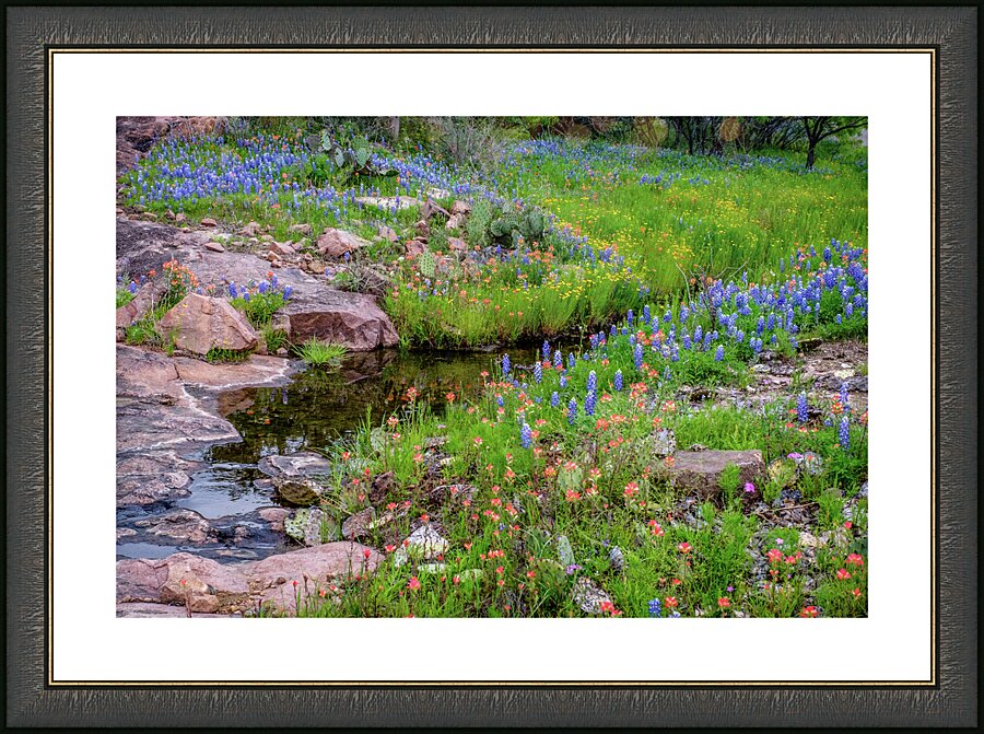 spring delight johnny boyd Picture Frame print