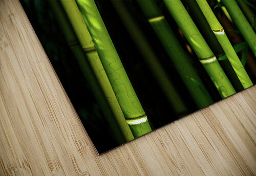 bamboo johnny boyd Nature Imaging puzzle