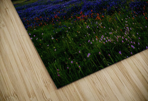 almost gone johnny boyd Nature Imaging puzzle