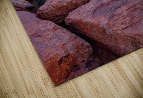 all alone johnny boyd Nature Imaging puzzle