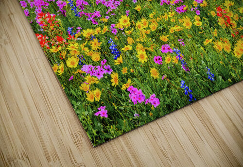 bright day johnny boyd Nature Imaging puzzle