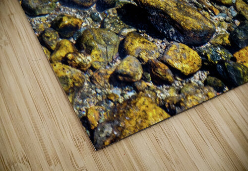 fall brook trout johnny boyd Nature Imaging puzzle