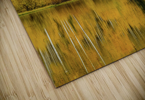 golden reflection johnny boyd Nature Imaging puzzle