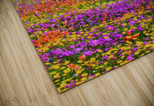 monets oak johnny boyd Nature Imaging puzzle