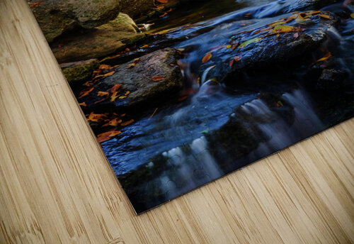 maple falls iv johnny boyd Nature Imaging puzzle